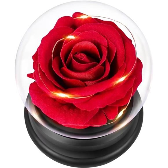 Preserved Rose Flower, Beauty and The Beast Rose Gifts for Women Mom Wife - Picture 1 of 7